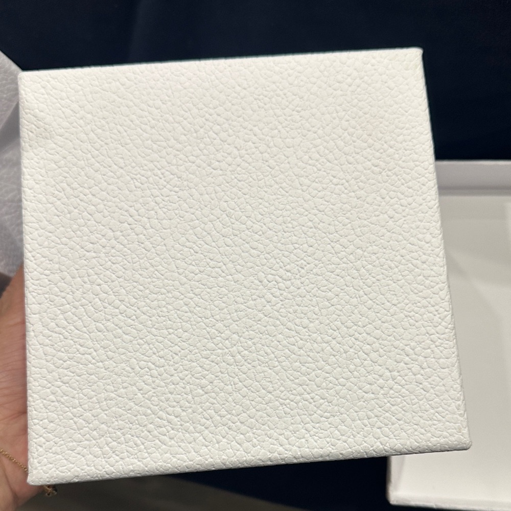 Dior Elegant White shopping Bag and Box Set - Picture 5 of 7